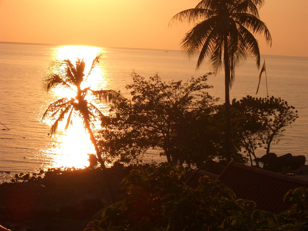 Click to See Next Image